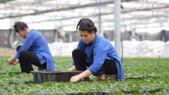 贵州泛德制药无限公司打制现代化口服液出产线